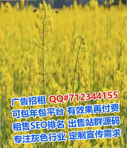 娄星代怀清洁服务经营部